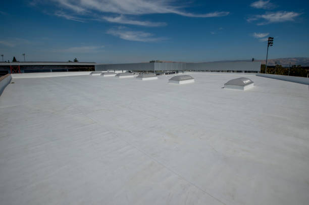 Best Gutter Installation and Repair  in Oak Park, IL