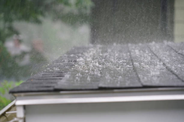 Best Asphalt Shingle Roofing  in Oak Park, IL